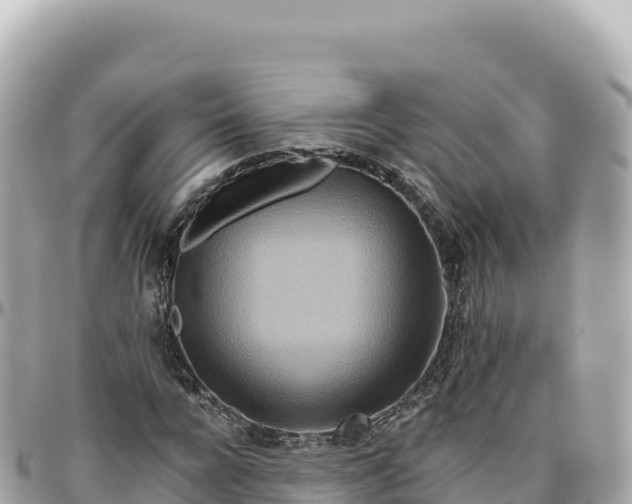 X0000095880920200801251137