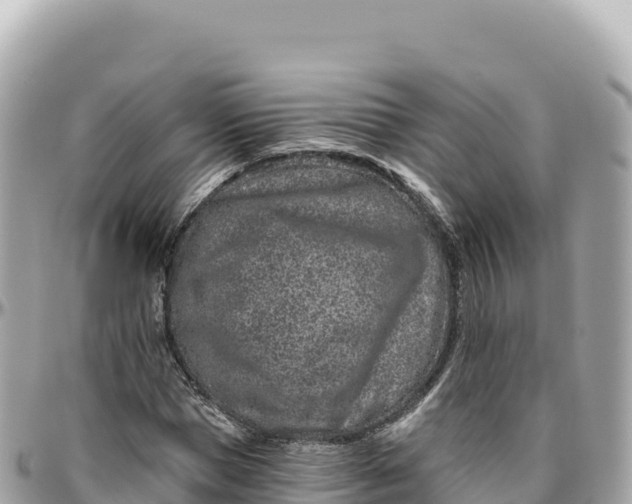 X0000095880921200801251137