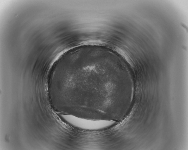 X0000095880923200801251137