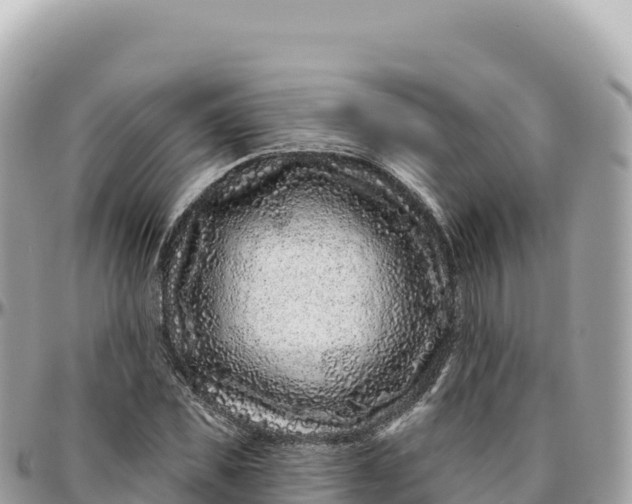 X0000095880925200801251137