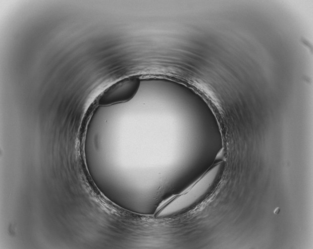 X0000095880928200801251137