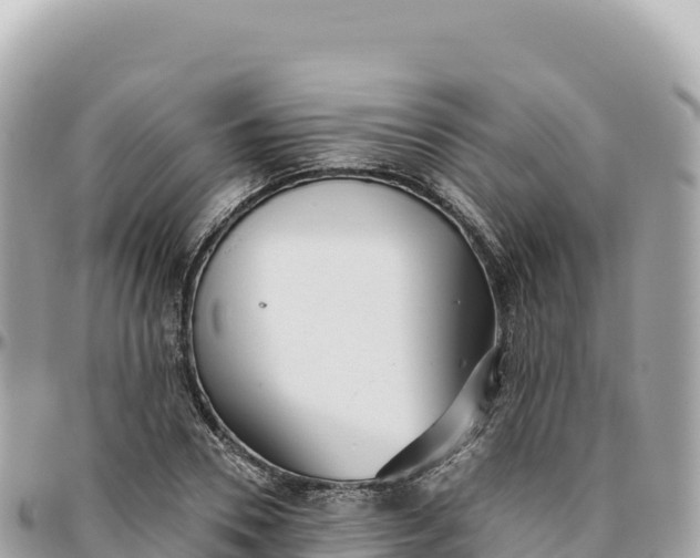 X0000095880930200801251137