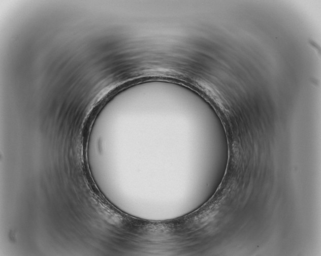 X0000095880931200801251137