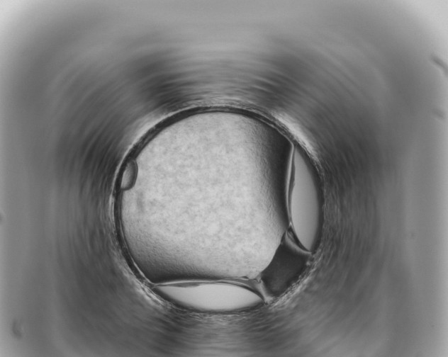 X0000095880932200801251137