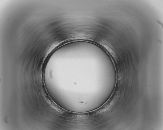 X0000095880933200801251137