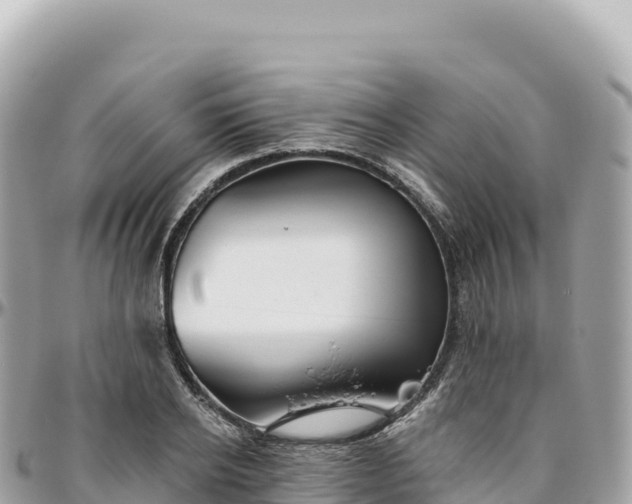 X0000095880934200801251137