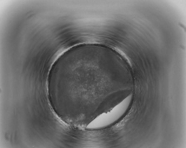 X0000095880935200801251137