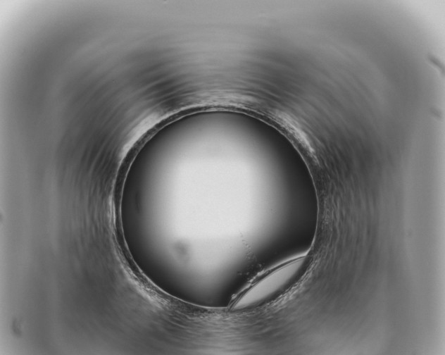 X0000095880936200801251137