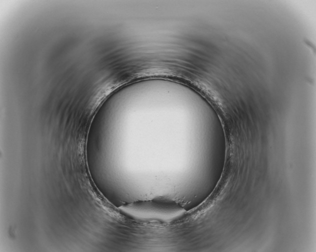 X0000095880937200801251137