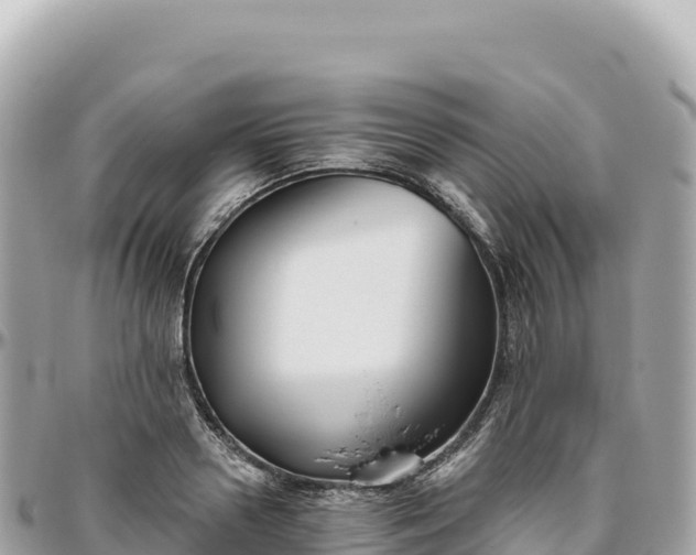 X0000095880938200801251137