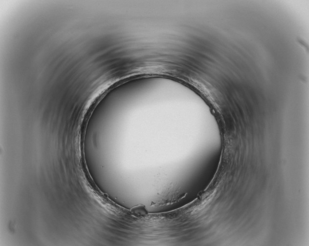 X0000095880939200801251137