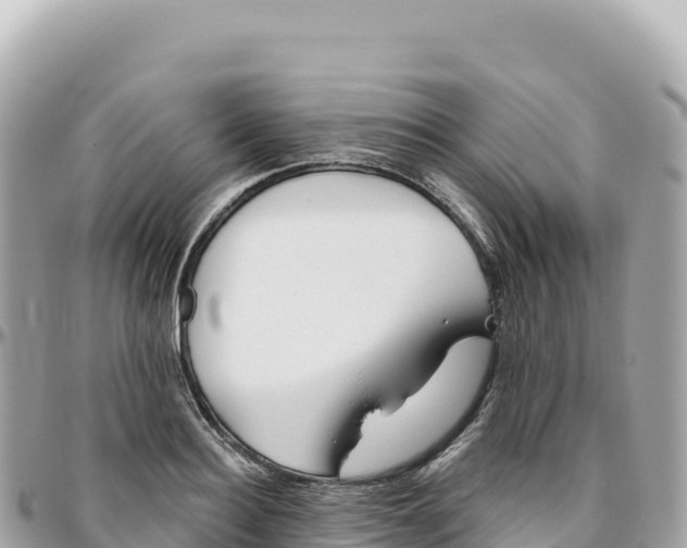 X0000095880940200801251137