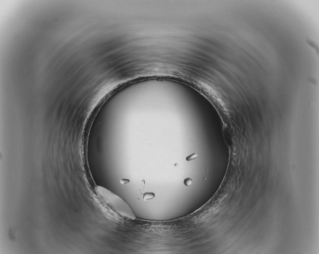 X0000095880942200801251137