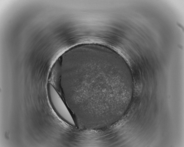 X0000095880943200801251137