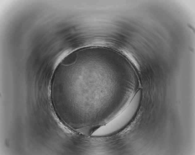 X0000095880944200801251137