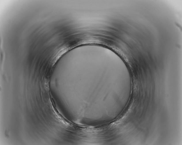 X0000095880945200801251137