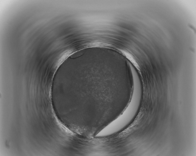 X0000095880946200801251137