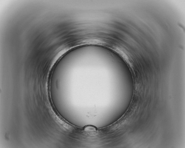 X0000095880947200801251137