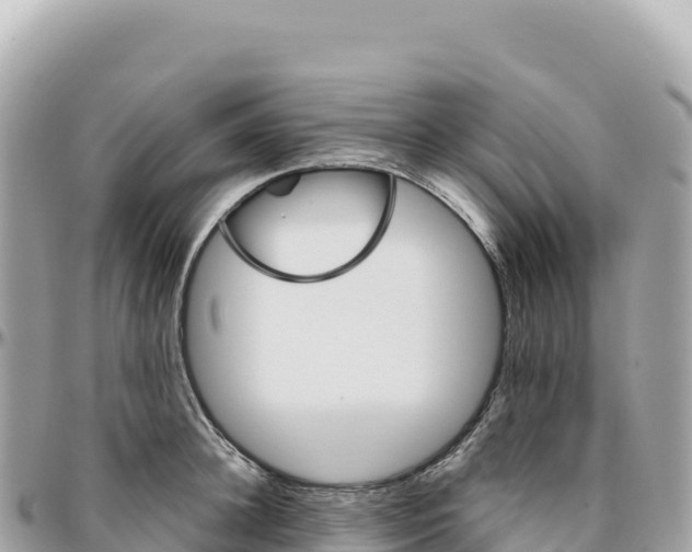 X0000095880948200801251137