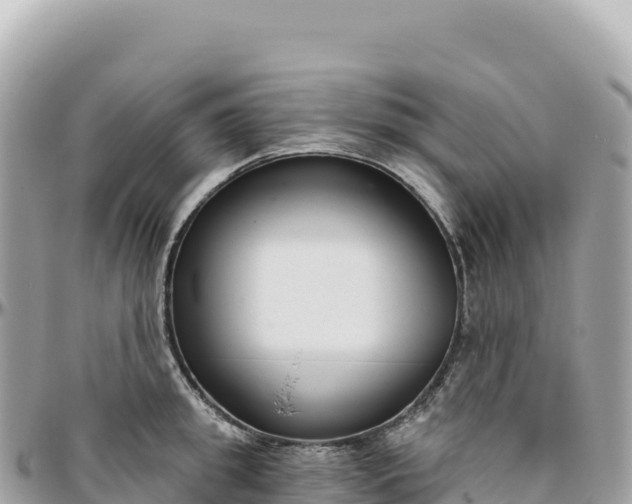 X0000095880949200801251137