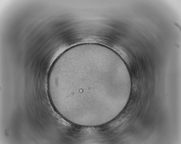 X0000095880950200801251137