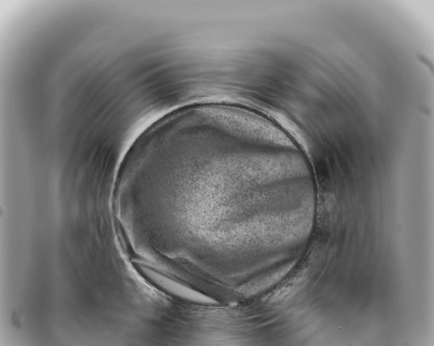 X0000095880951200801251137