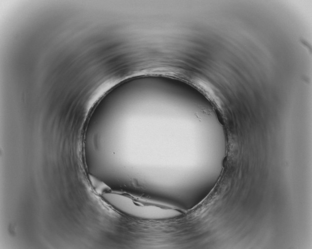 X0000095880952200801251137