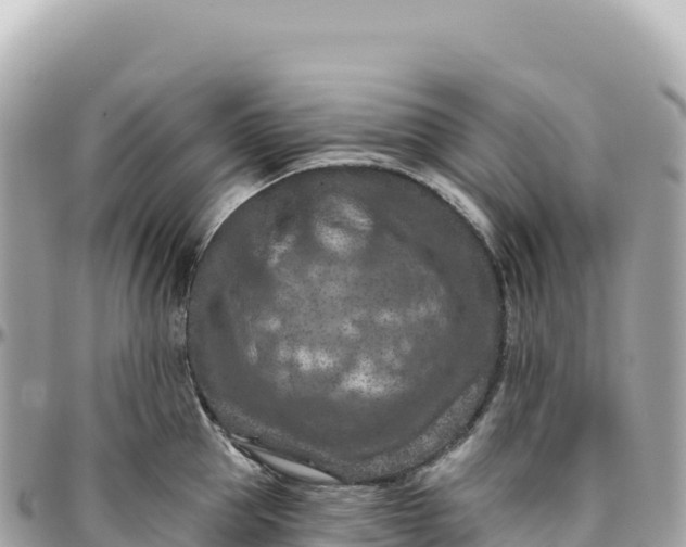 X0000095880953200801251137