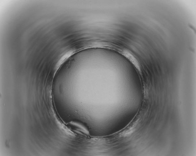 X0000095880954200801251137