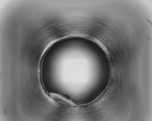 X0000095880955200801251137