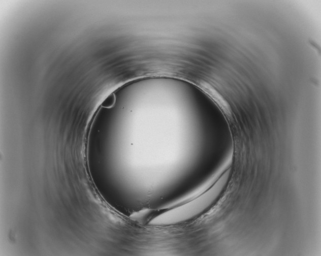 X0000095880956200801251137