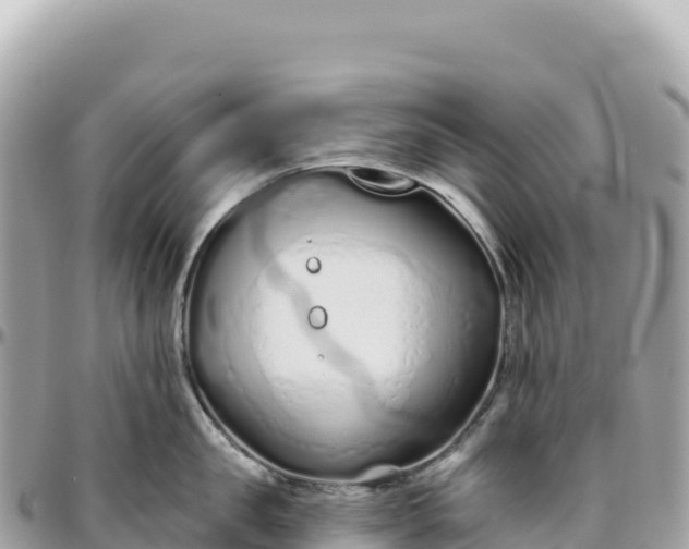 X0000095880957200801251137