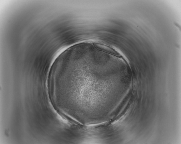 X0000095880959200801251137