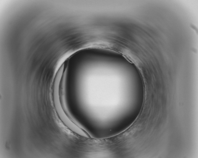 X0000095880960200801251137