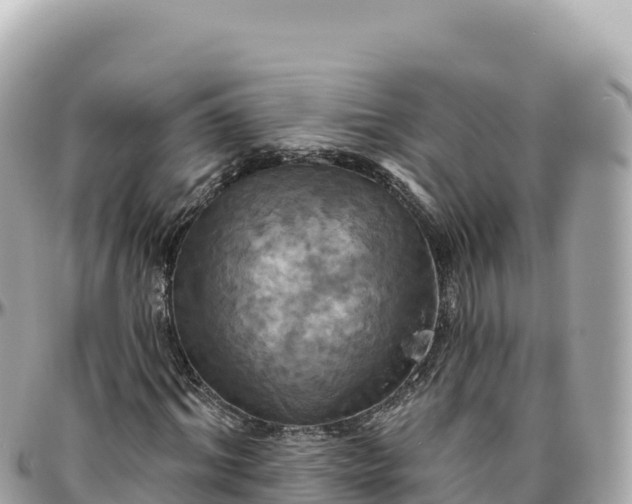 X0000095880964200801251137