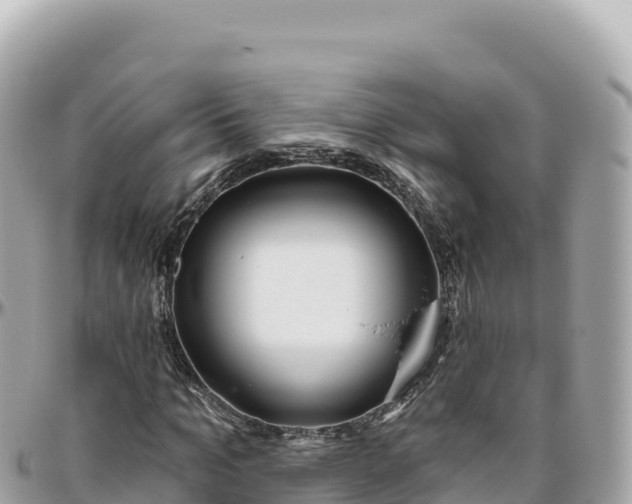 X0000095880965200801251137