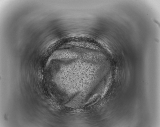 X0000095880966200801251137