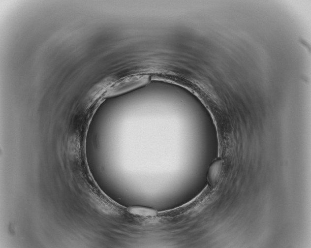 X0000095880969200801251137