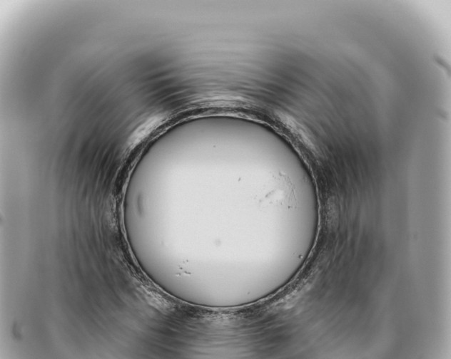 X0000095880970200801251137