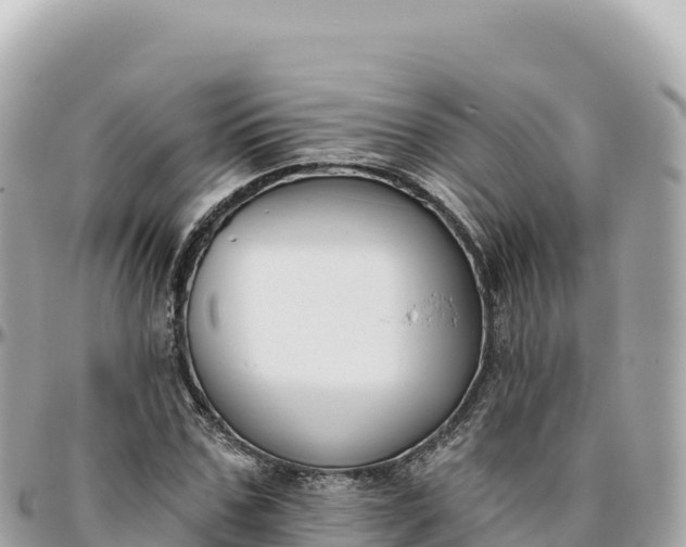 X0000095880971200801251137