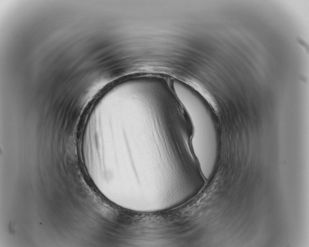 X0000095880972200801251137