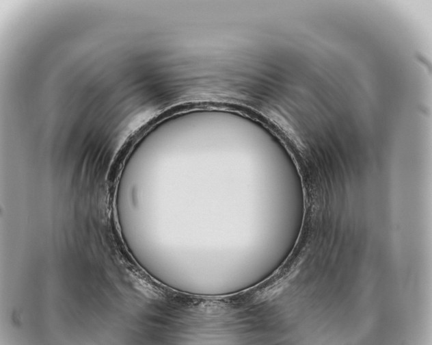 X0000095880974200801251136