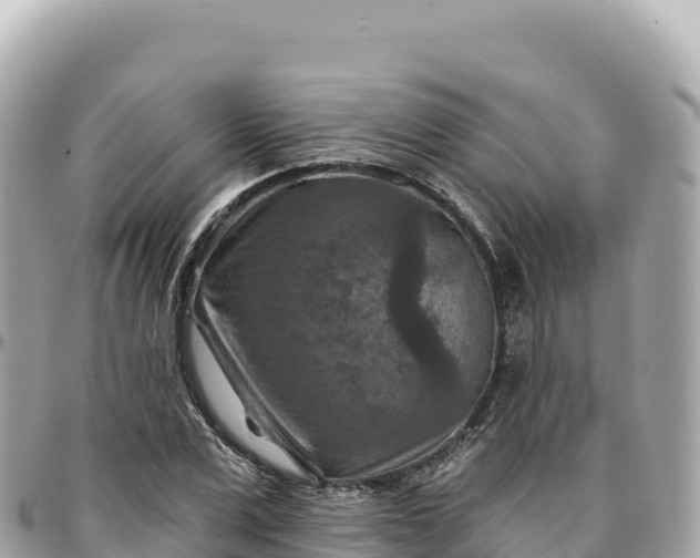 X0000095880975200801251136