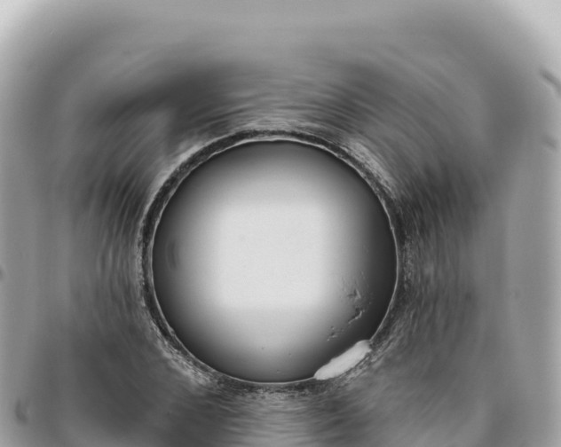 X0000095880976200801251136