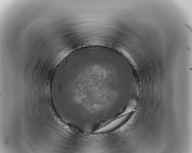 X0000095880977200801251136