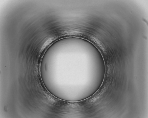 X0000095880978200801251136