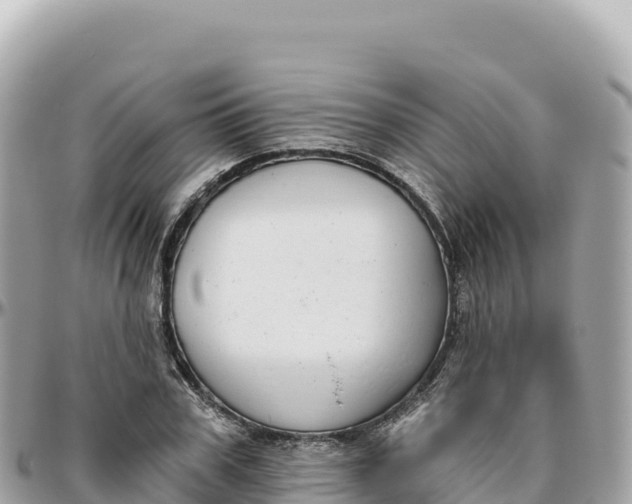 X0000095880979200801251136