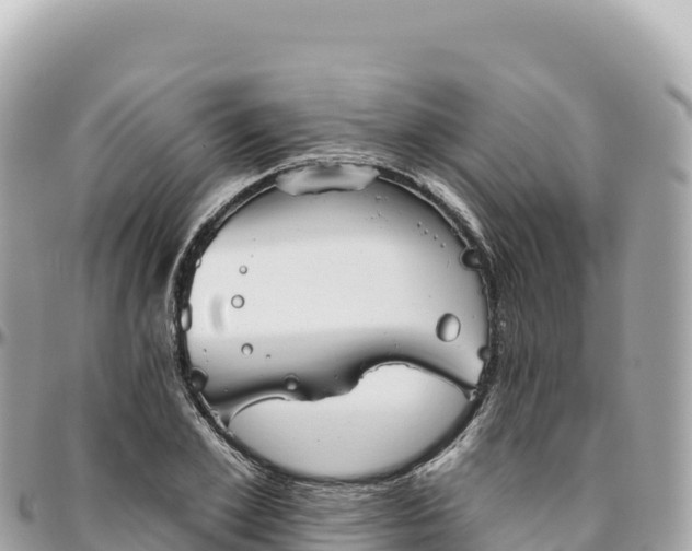 X0000095880981200801251136