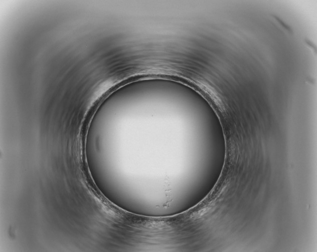 X0000095880982200801251136