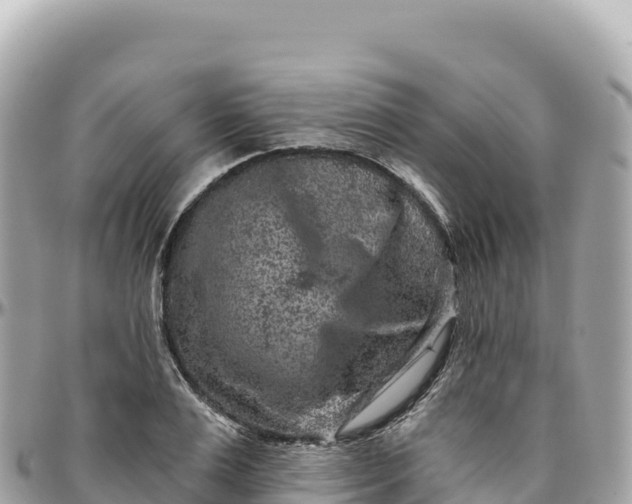 X0000095880983200801251136